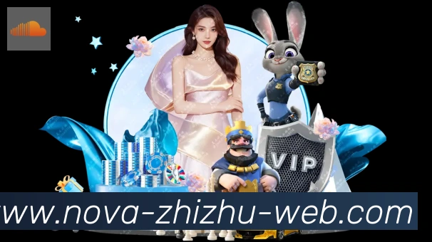 奖项证书