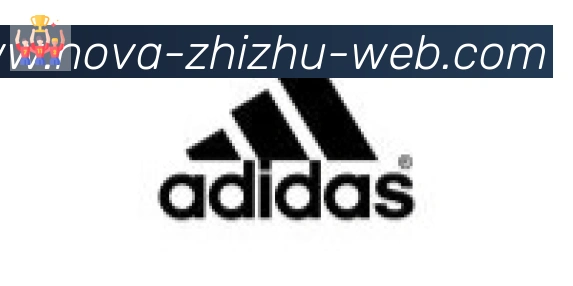 蜘蛛直播合作伙伴